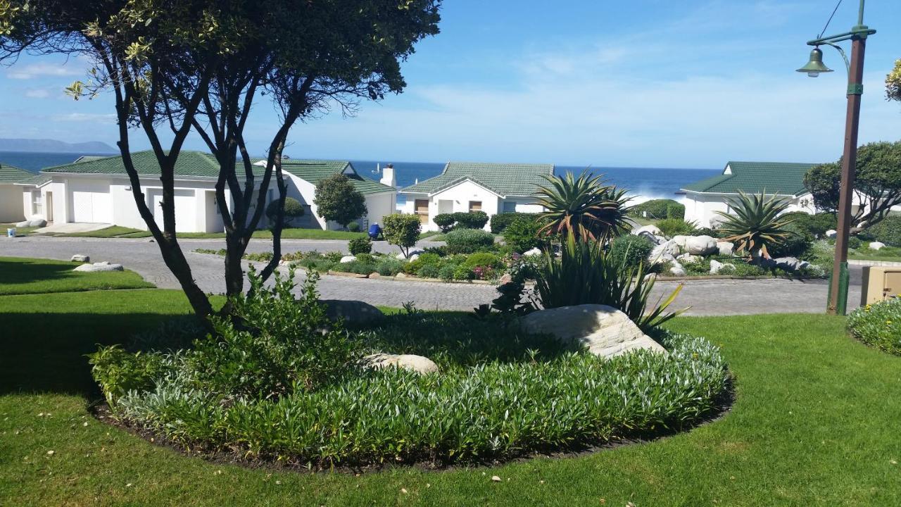 Apartmán The Potting Shed Self Catering Hermanus Exteriér fotografie