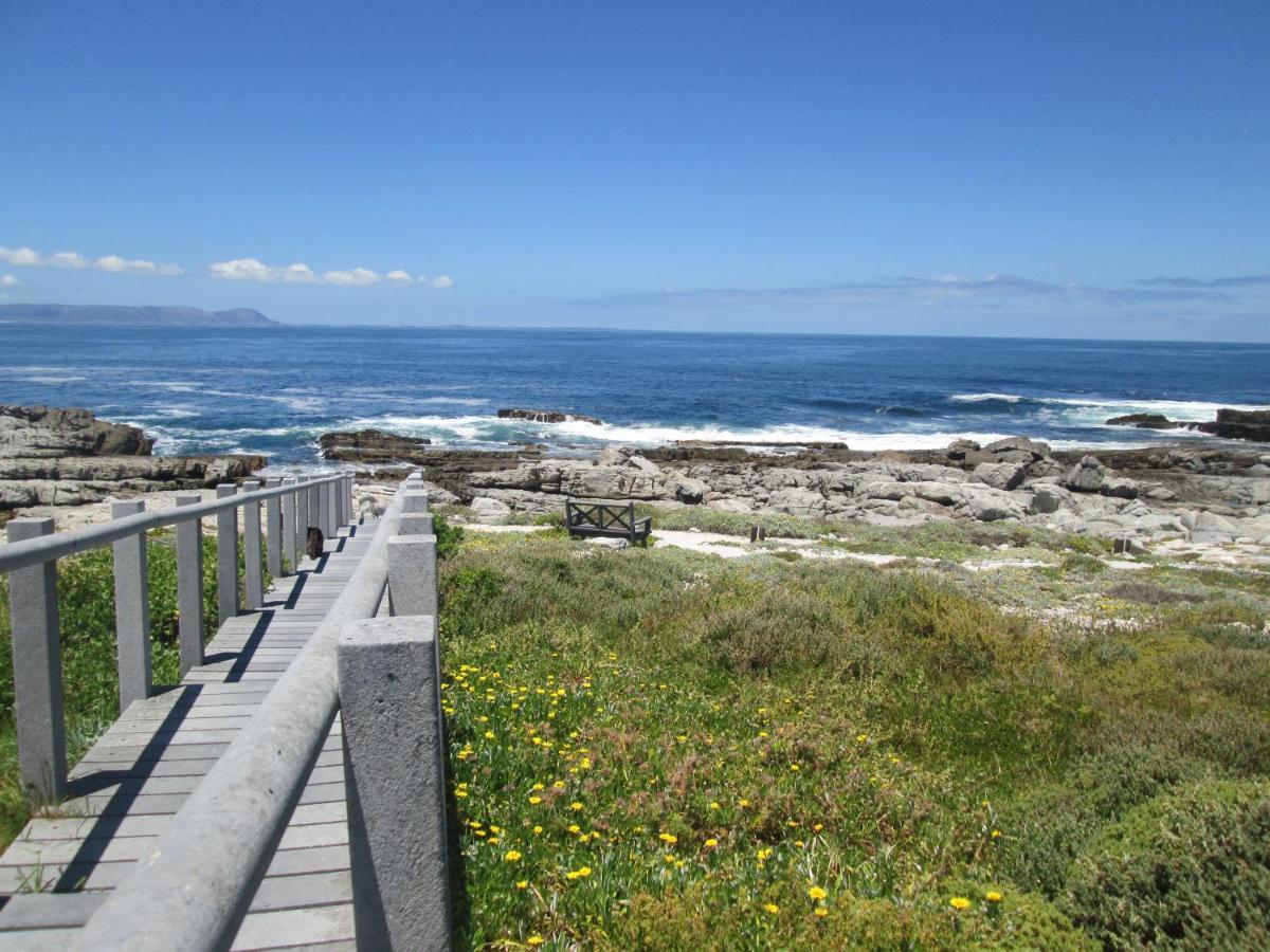 Apartmán The Potting Shed Self Catering Hermanus Exteriér fotografie