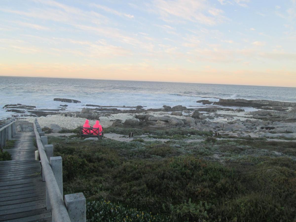 Apartmán The Potting Shed Self Catering Hermanus Exteriér fotografie