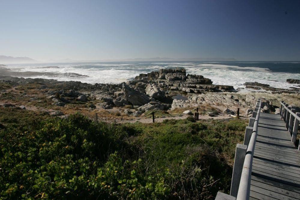 Apartmán The Potting Shed Self Catering Hermanus Exteriér fotografie