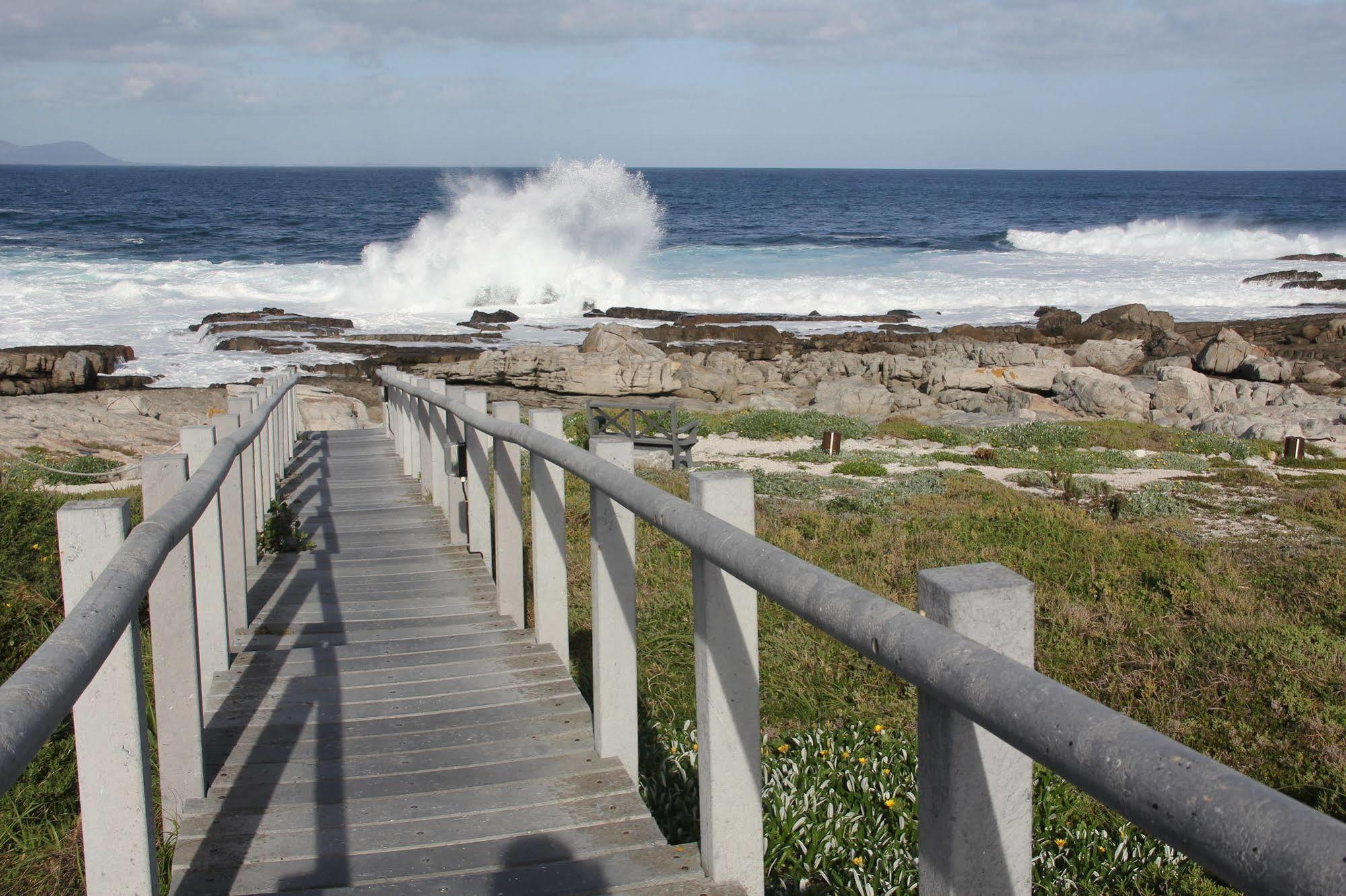 Apartmán The Potting Shed Self Catering Hermanus Exteriér fotografie