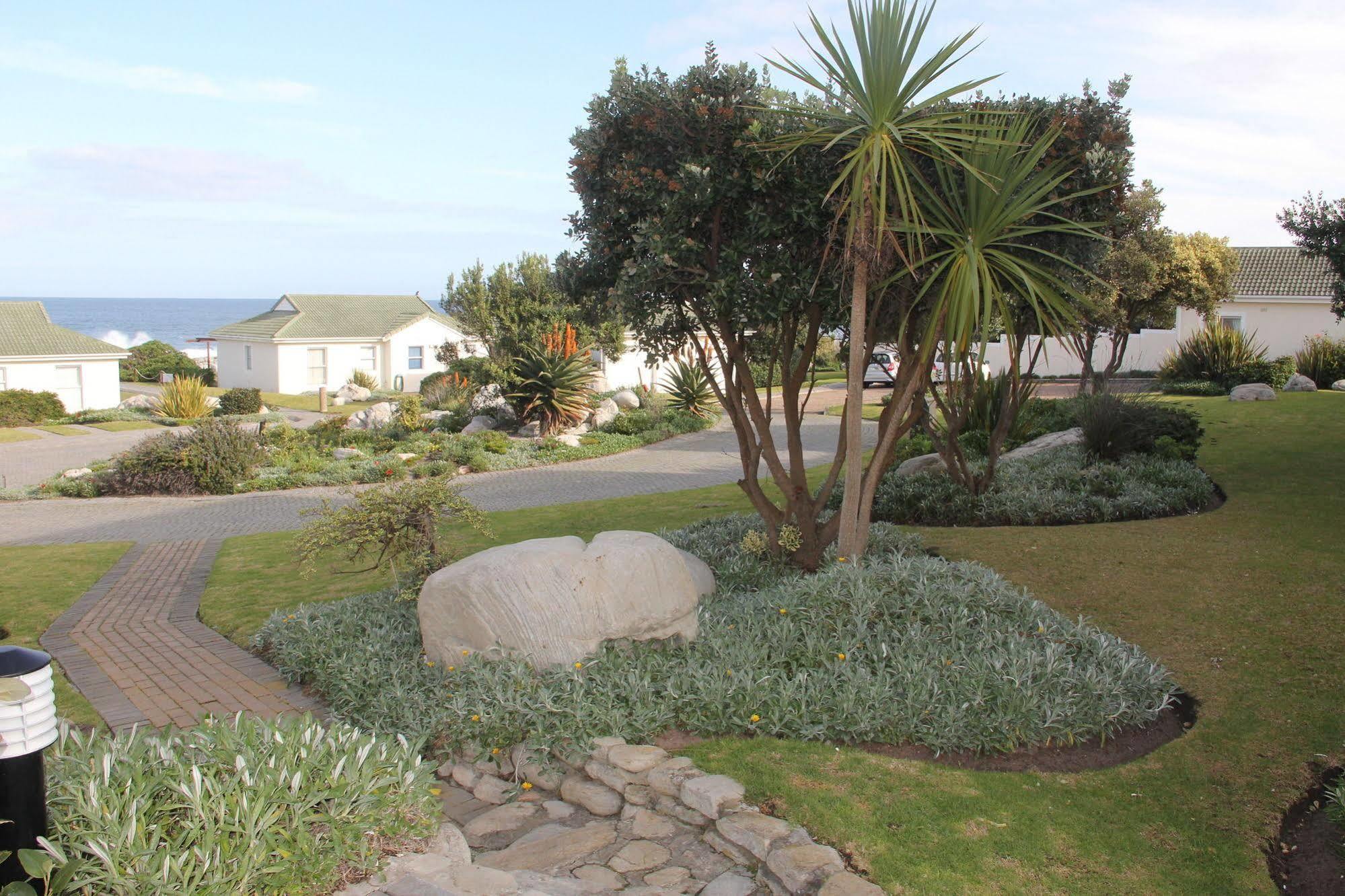 Apartmán The Potting Shed Self Catering Hermanus Exteriér fotografie